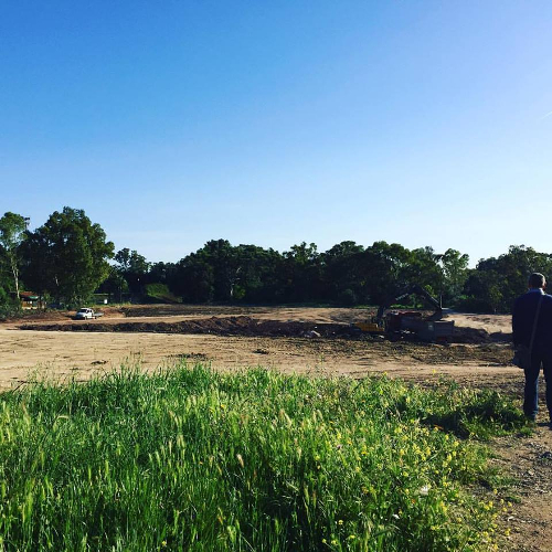 Moradores do Bairro da Boavista foram surpreendidos com corte de árvores no Parque Florestal de Monsanto. 