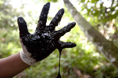Mão coberta de crude vindo de uma das centenas de poços abertos pela Chevron (antiga Texaco) abandonada na floresta amazónica equatoriana ao pé do Lago Agrio. 