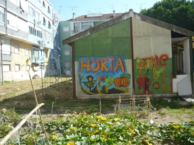 Um grupo de moradores começou a desenvolver a horta comunitária no espaço que estava degradado, agora a Câmara da Amadora quer demolir o pavilhão e a horta.