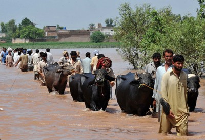 Paquistaneses fogem das cheias no Baluchistão. Foto de United Nations Development Programme