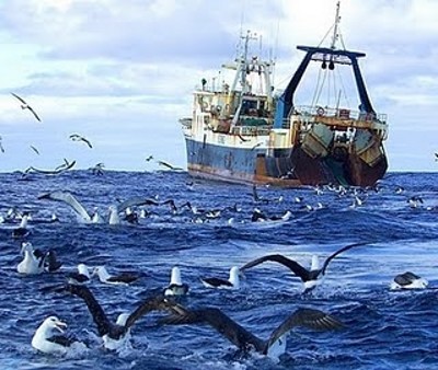 O relatório da União Europeia afirma que a Europa tem sido incapaz de tirar proveito do tratado, aumentar o acesso à pesca ou impor normas de defesa do ambiente