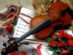 violino