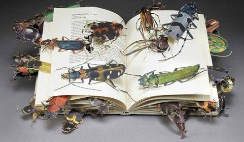 O abundante lixo literário que se vai editando. Imagem Letra Livre. O Abundante lixo literário . Imagem Letra Livre.