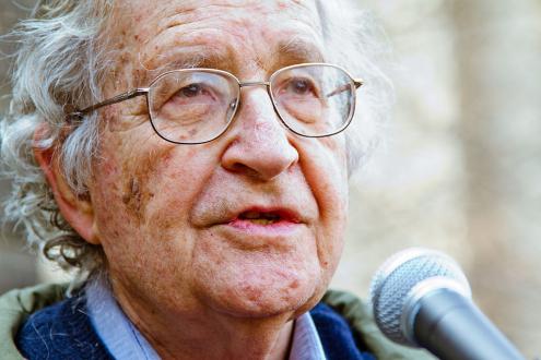 Noam Chomsky: “O capitalismo é intrinsecamente sádico&quot;. Foto de Andrew Rusk