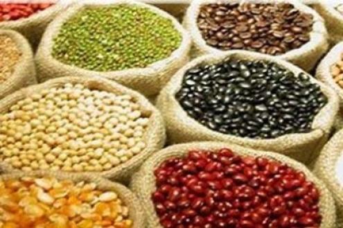 Resultado de imagem para sementes patenteadas india