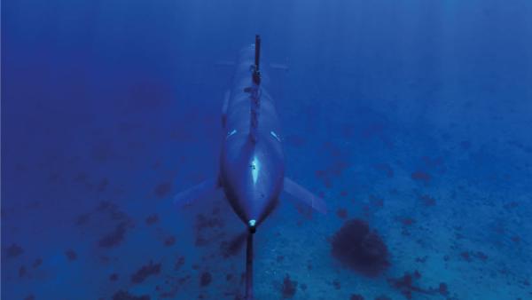 Drone Submarino Blue Whale.