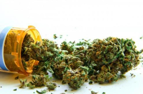 Ordem dos Médicos aprova uso de canábis para fins terapêuticos