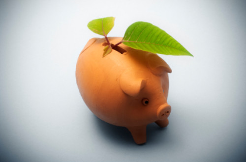 O capitalismo lava mais verde