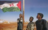 O povo do Sahara Ocidental luta pelo reconhecimento do seu direito à autodeterminação há muitas décadas