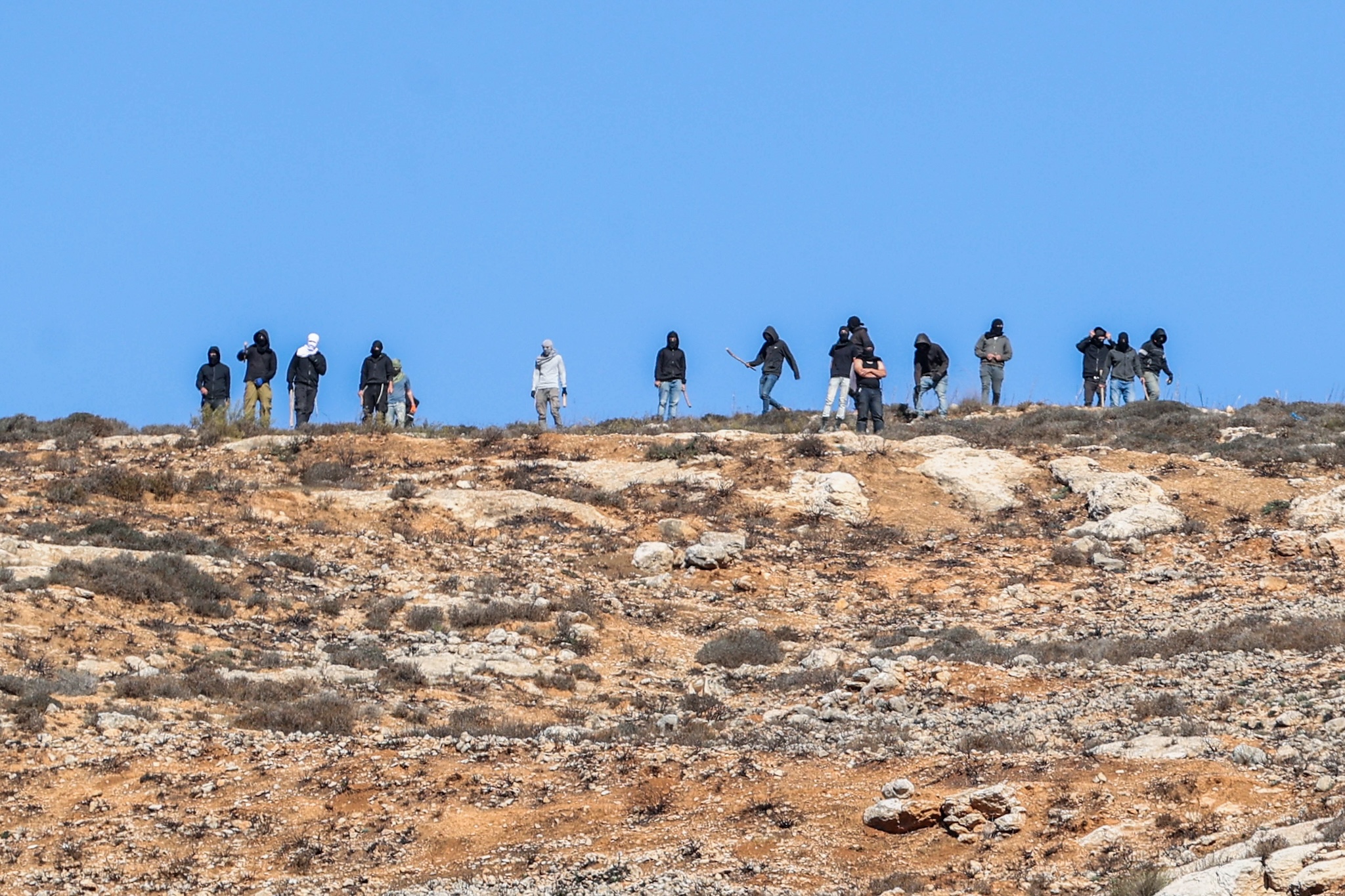 Colonos judeus vistos enquanto agricultores e ativistas palestinianos apanham azeitonas durante a época de colheita anual, na aldeia de Burqa, na Cisjordânia, a 20 de outubro de 2024. (Flash90)