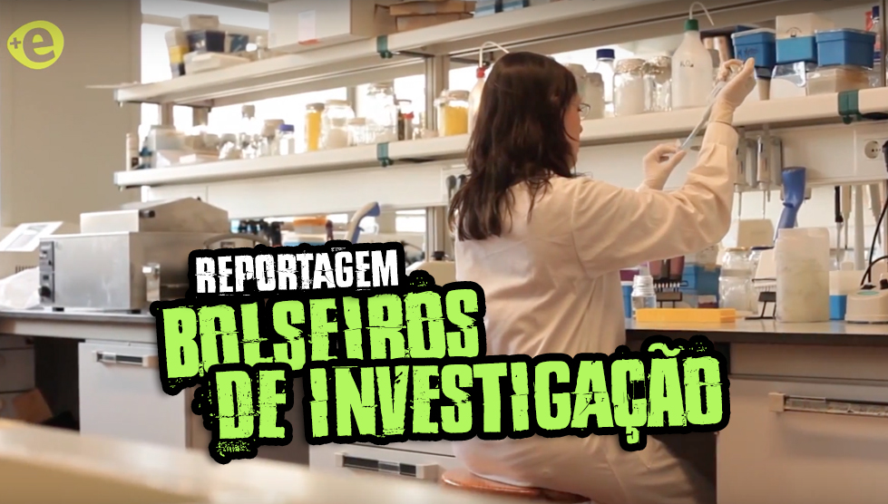 Reportagem sobre os bolseiros de investigação