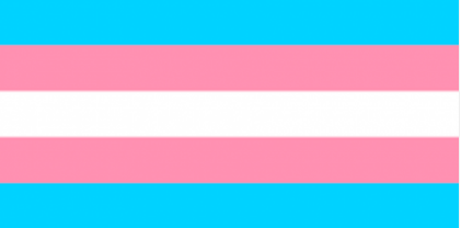 A Lei n.º 38/2018, de 7 de agosto, entra em vigor esta quarta-feira. Assim, qualquer pessoa trans com mais de 18 anos tem direito a alterar os seus documentos com base unicamente na sua autodeterminação.