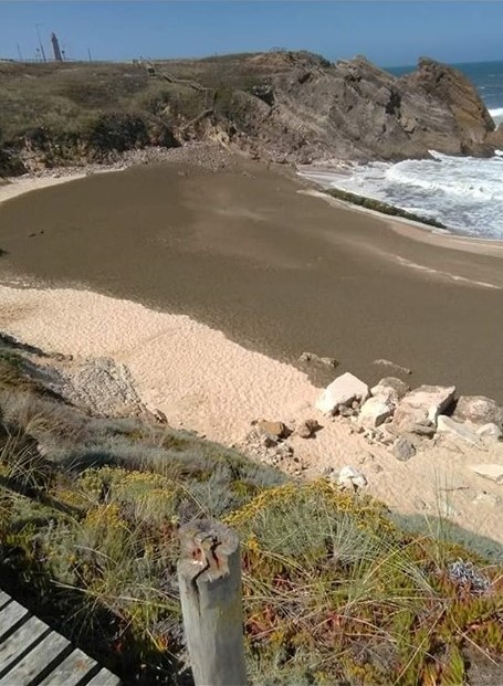 Descarga na praia da concha Descarga na praia da concha