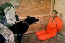 Presos em Guantánamo