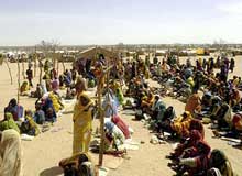 Darfur
