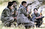 Guerrilheiros do PKK