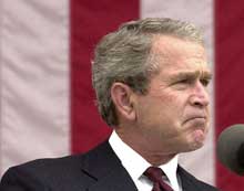 bush_chateado_web