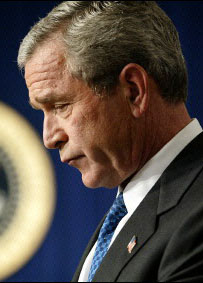 bushsmirk