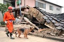japao_terremoto.jpg