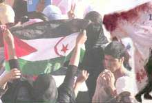 polisario