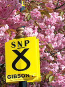 Foto foxypar4/Flickr