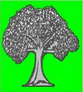 Árvore, símbolo do partido angolano FpD (Frente para a Democracia)