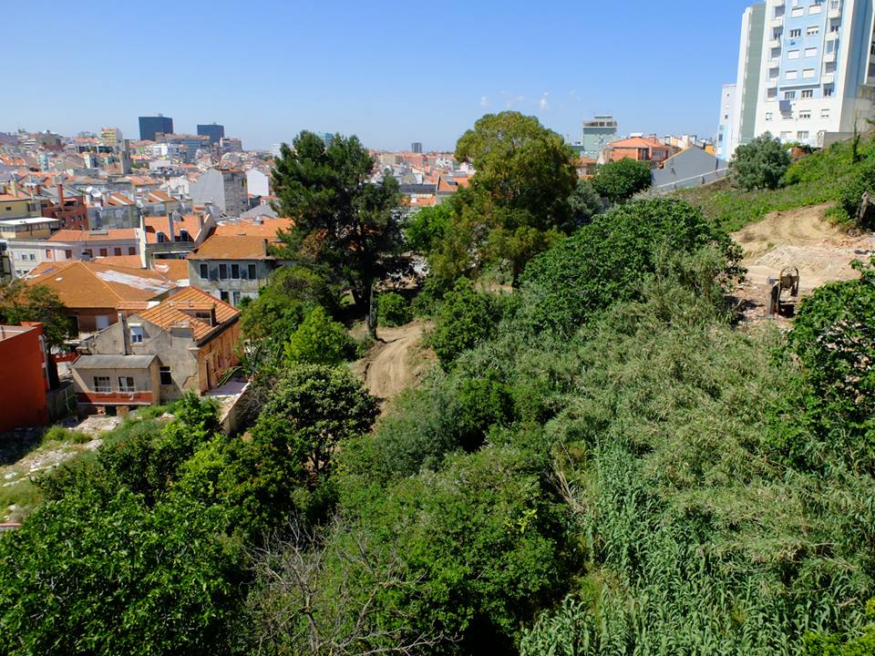 Foto da página de Facebook do Jardim do Caracol da Penha