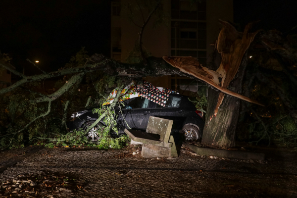 Viatura atingida pela queda de árvores em Coimbra em consequência da tempestade Leslie, 13 de outubro de 2018 - Foto Paulo Novais/Lusa