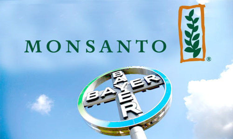 Logotipos da Monsanto e da Bayer.