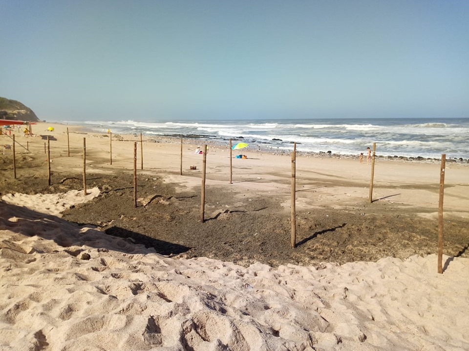 Descarga na Praia de São Pedro de Moel Descarga na Praia de São Pedro de Moel