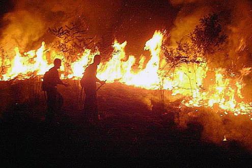 Bombeiros combatem as chamas no estado do Acre, Amazónia brasileira. Foto Lusa/EPA.
