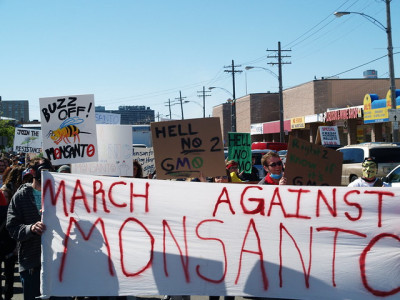 Manifestação contra a Monsanto. Washington. 2013.