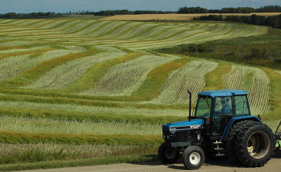 Campo agrícola. Foto de jenny222/Flickr.