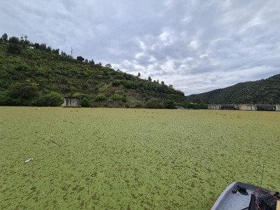 Eutrofização no Tejo - Foto de ProTejo, facebook