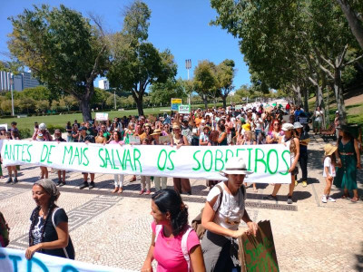 Manifestação e Lisboa contra o abate de sobreiros em Morgavel