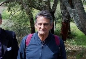 Miguel Teotónio Pereira