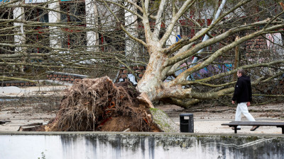 Queda de árvores no parque do Avião depois da passagem da depressão Kristin, em Leiria, 28 de janeiro de 2026.