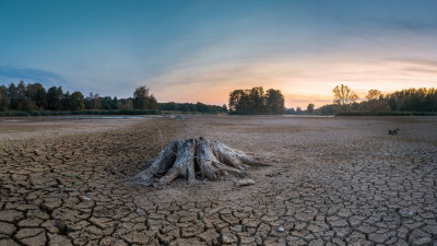terra seca