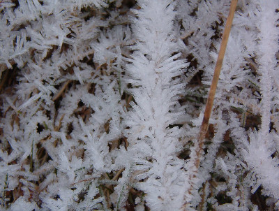Gelo na Serra da Estrela. Foto de Pedro Dias/Flickr.