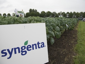Syngenta. Foto de Fruitnet.com/Flickr.