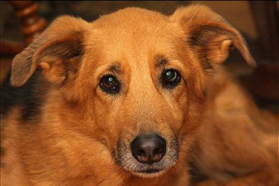 Foto Nicolas Karim/Flickr 