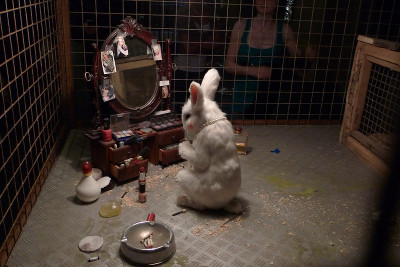 Coelho usando cosméticos. Foto de uma instalação atribuída a Banksy. Por acb/Flickr.