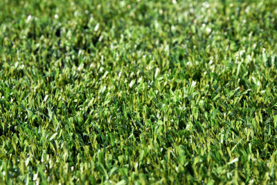 Campo desportivo sintético