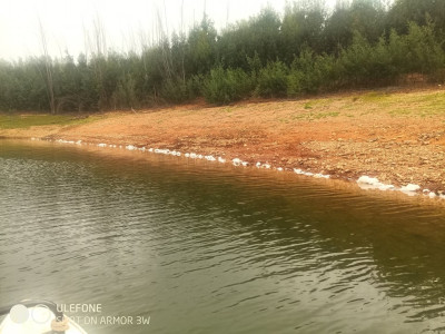 Manchas de espuma na barragem da Aguieira.