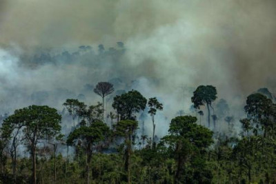 Imagem aérea de queimadas na Área de Proteção Ambiental Jamanxim na cidade de Novo Progresso, Estado do Pará. (Foto Victor Moriyama Greenpeace)