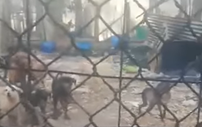 Fonte: facebook de Maria Manuel Rola. 