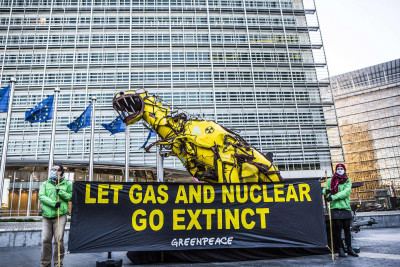 Taxinossauro. Foto de JOHANNA DE TESSIERES/GREENPEACE.