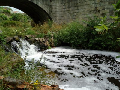 A Ribeira de Travassos poluída. Foto do Bloco de Esquerda de Carregal do Sal.
