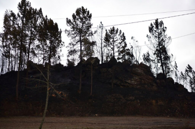 Fotografia de Paulete Matos