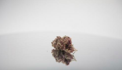 Foto Lobsang Tinley/Flickr